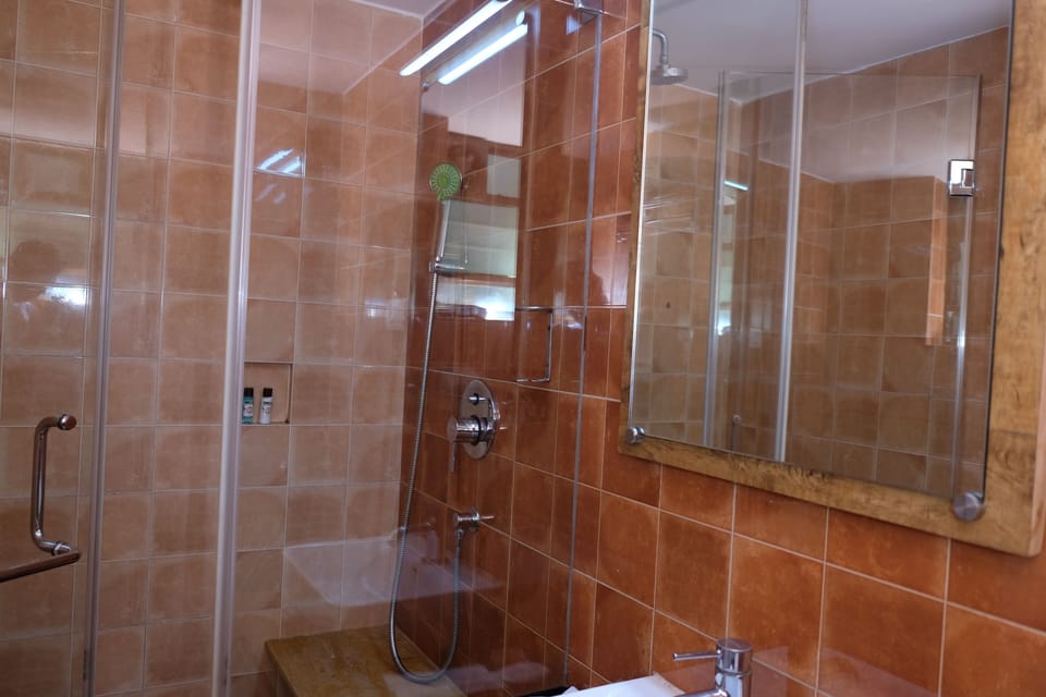Shower, free toiletries