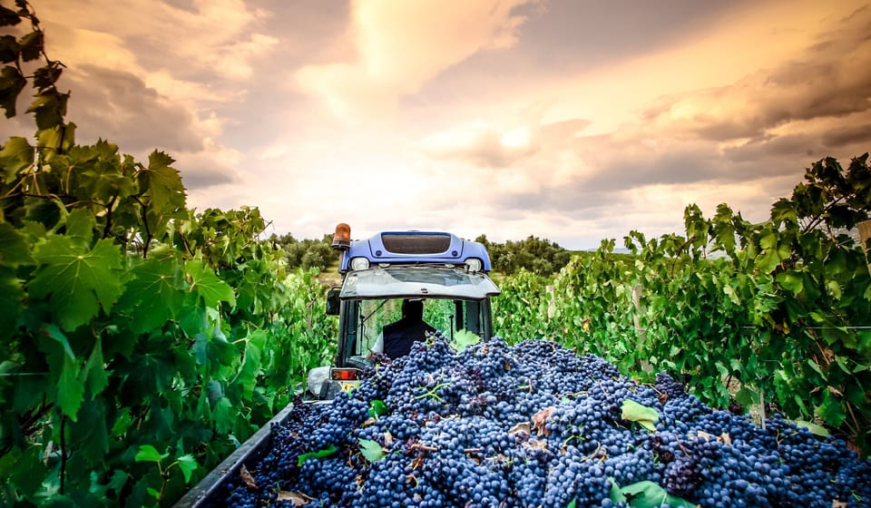 Winery