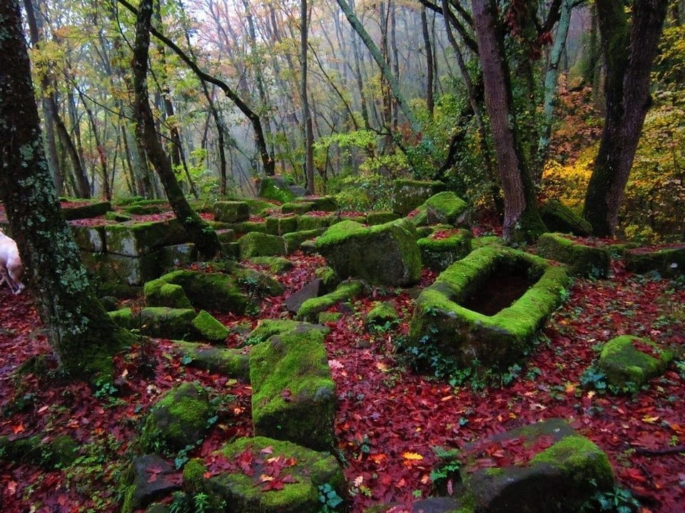 Hiking