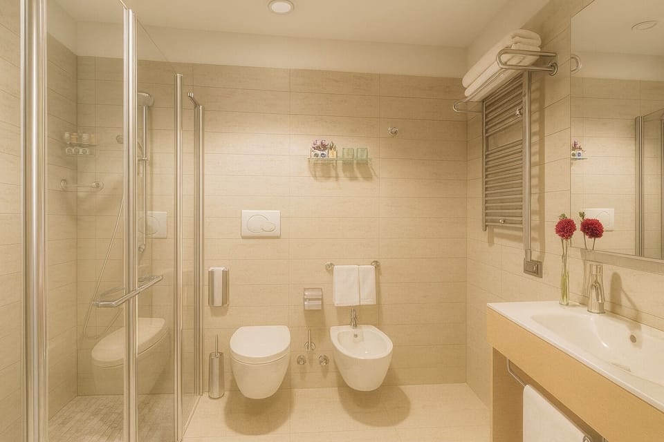 Shower, free toiletries, hair dryer, bidet