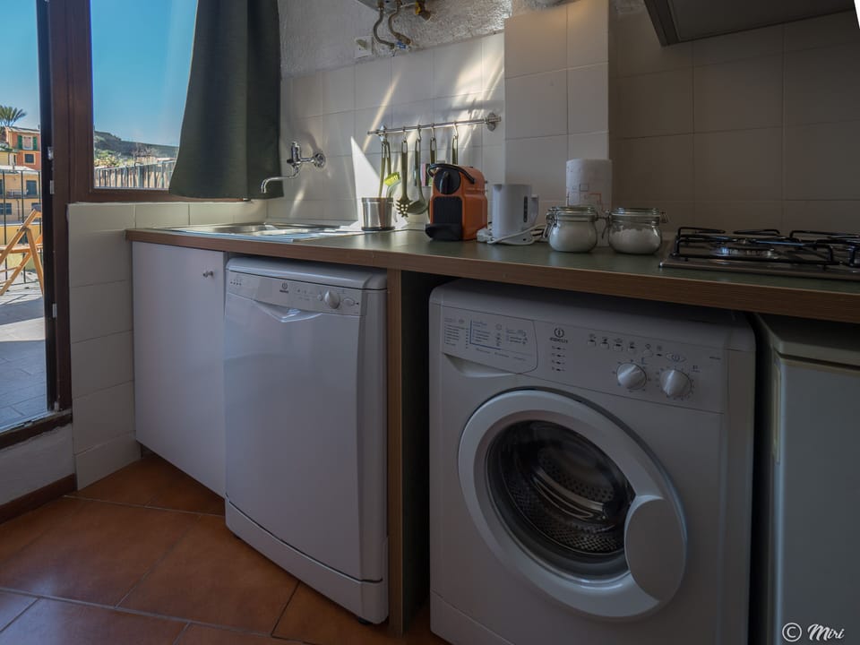 Studio, 1 Bedroom, Terrace | Private kitchen | Fridge, microwave, stovetop, dishwasher