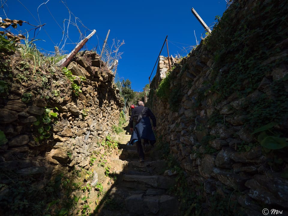 Hiking
