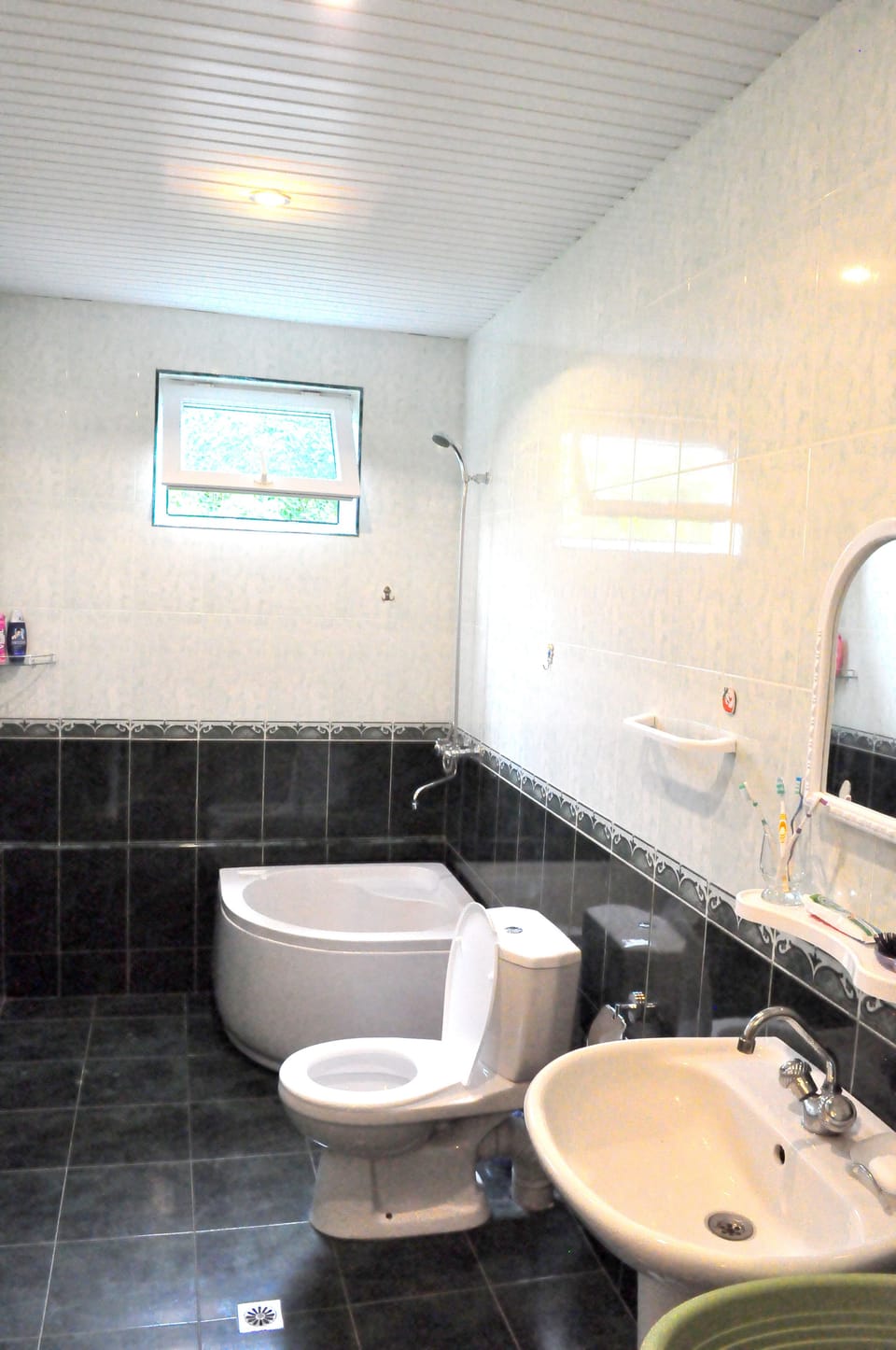 Shower, deep soaking tub, free toiletries, hair dryer
