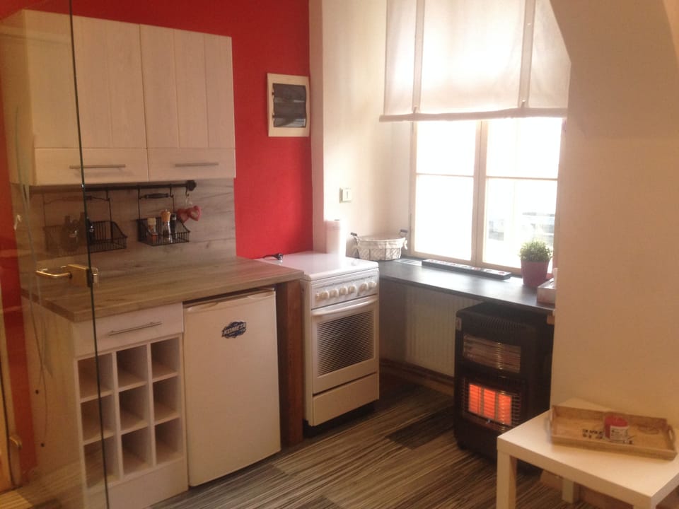 City Apartment, Kitchen, Courtyard Area | Private kitchenette | Fridge, microwave, oven, stovetop