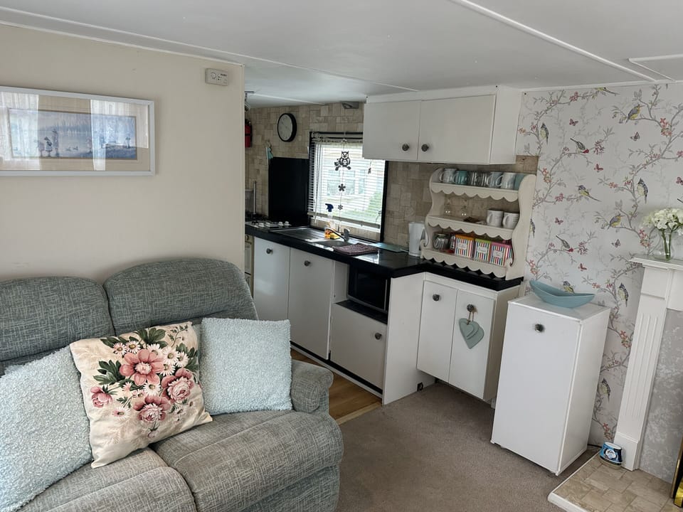 Classic Mobile Home, Private Bathroom, Courtyard View | Private kitchen