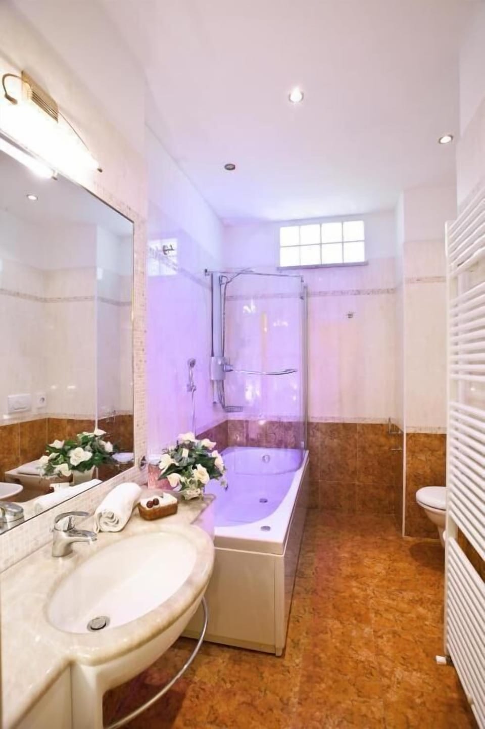 Shower, free toiletries, hair dryer