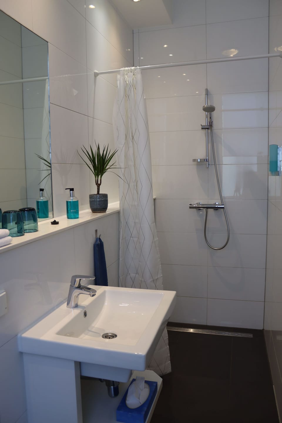 Shower, free toiletries, hair dryer, towels