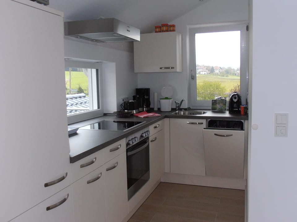 Apartment | Private kitchen | Fridge, microwave, oven, stovetop