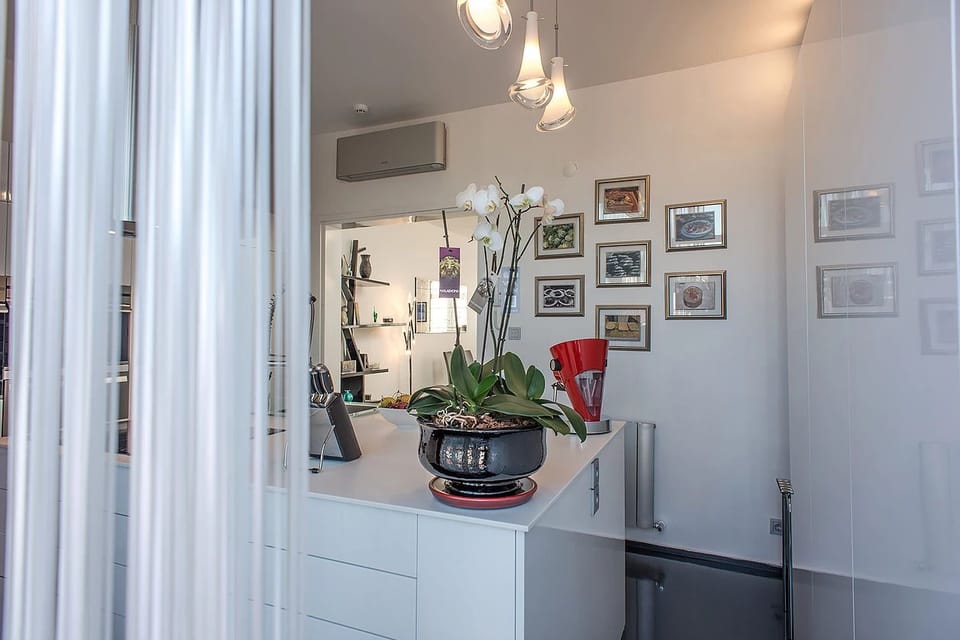 Deluxe Apartment, Sea View | Private kitchen | Fridge, microwave, oven, stovetop