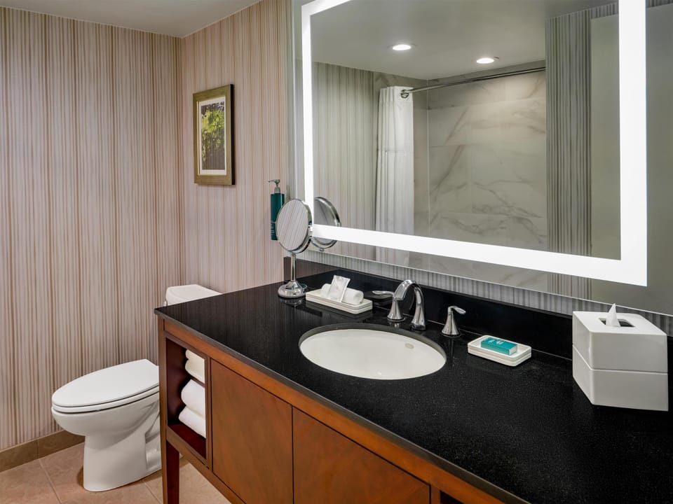 Combined shower/tub, free toiletries, hair dryer, towels