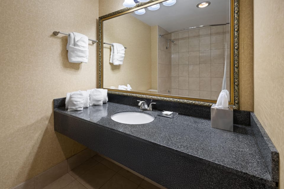 Combined shower/tub, free toiletries, hair dryer, towels
