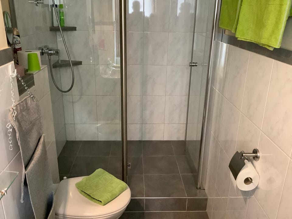 Shower, towels, toilet paper