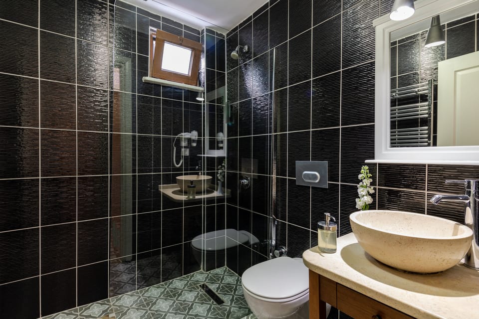 Shower, hair dryer, slippers, towels