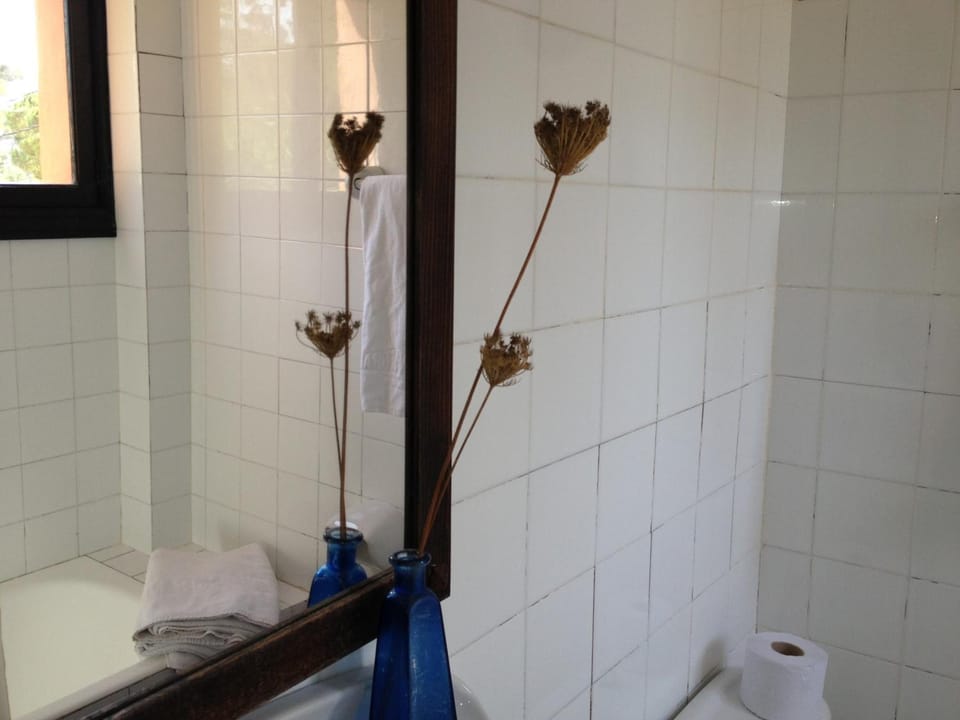 Shower, free toiletries, towels
