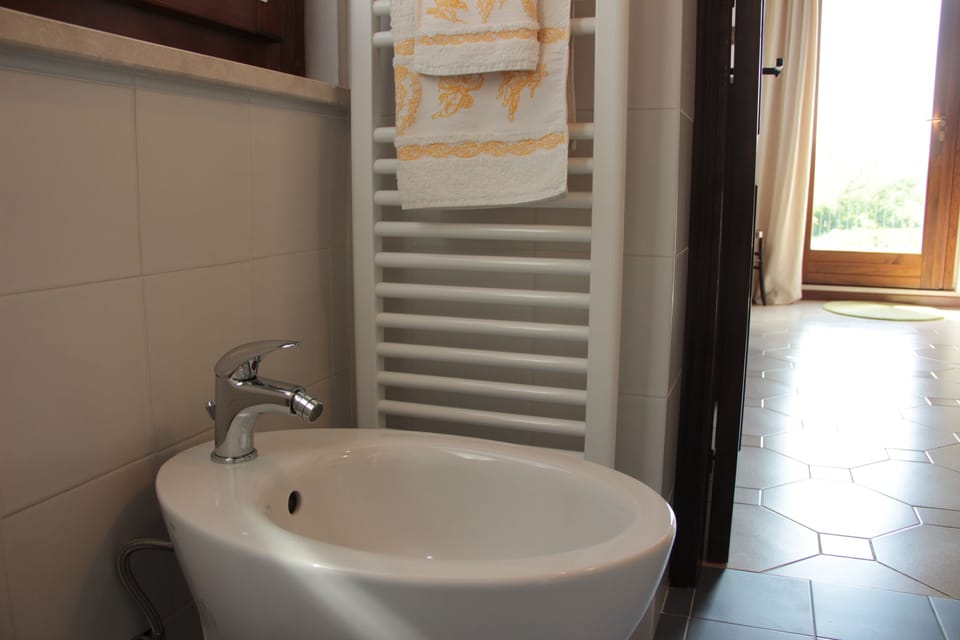 Shower, free toiletries, hair dryer, bidet