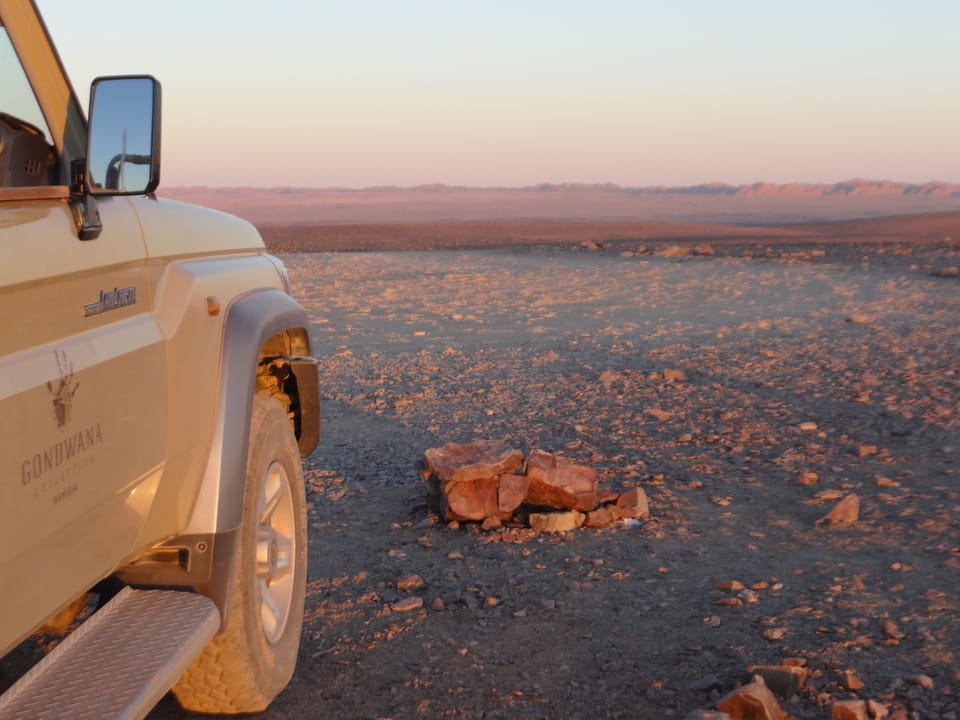 Safari