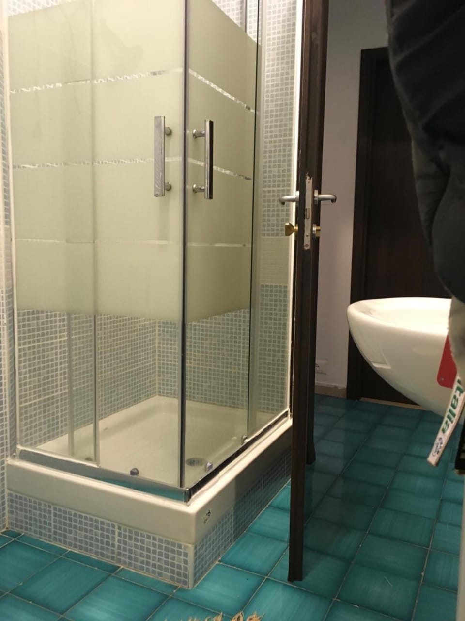 Shower, free toiletries, hair dryer, bidet