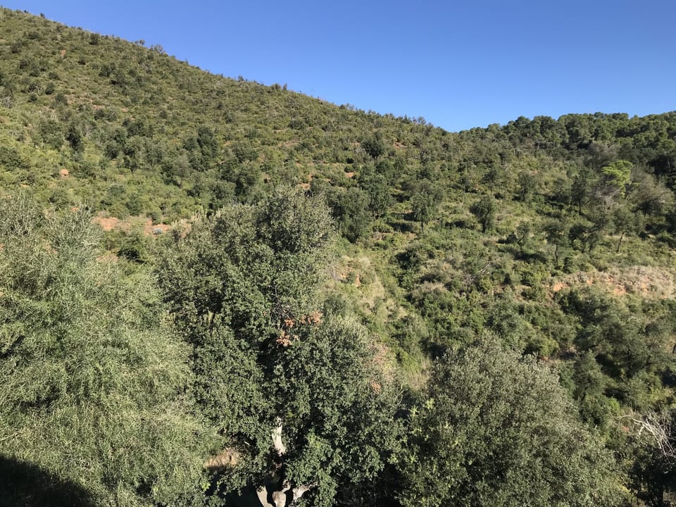 View from room