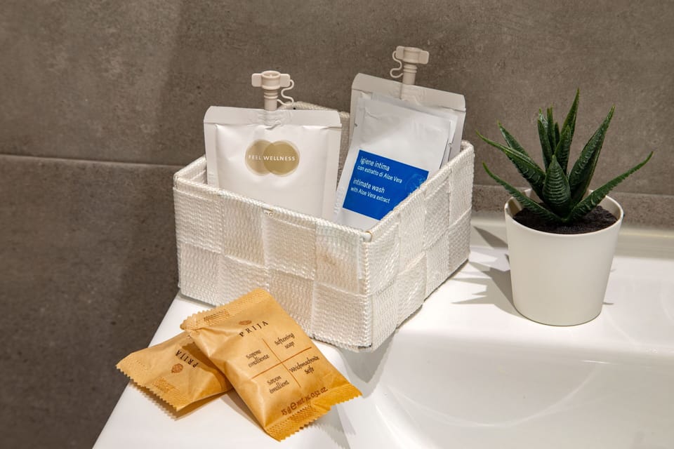 Shower, free toiletries, hair dryer, bidet
