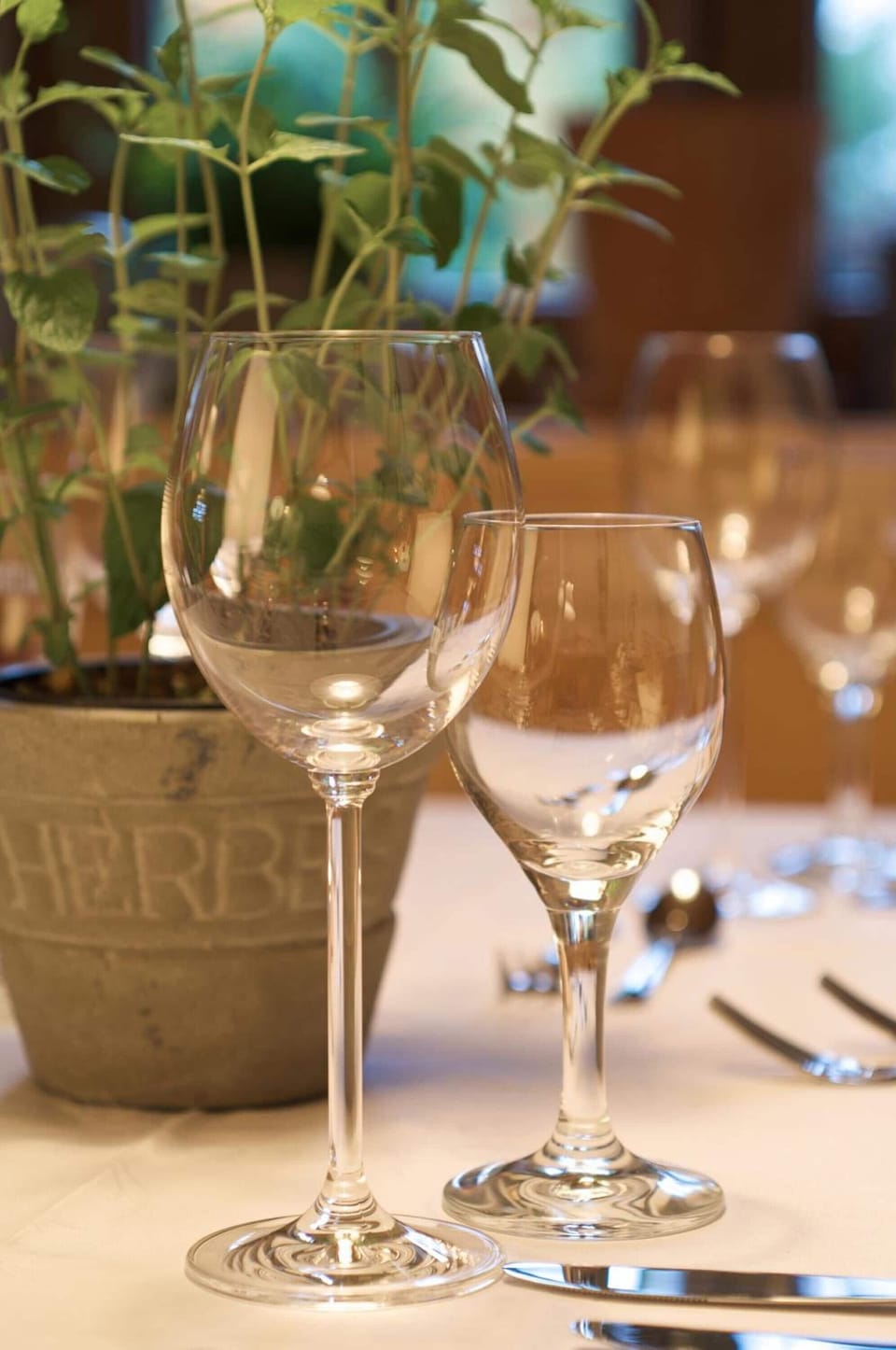 Dinner served, local and international cuisine