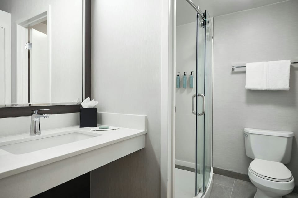 Combined shower/tub, free toiletries, hair dryer, towels