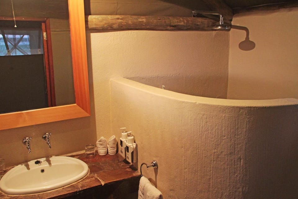 Shower, towels