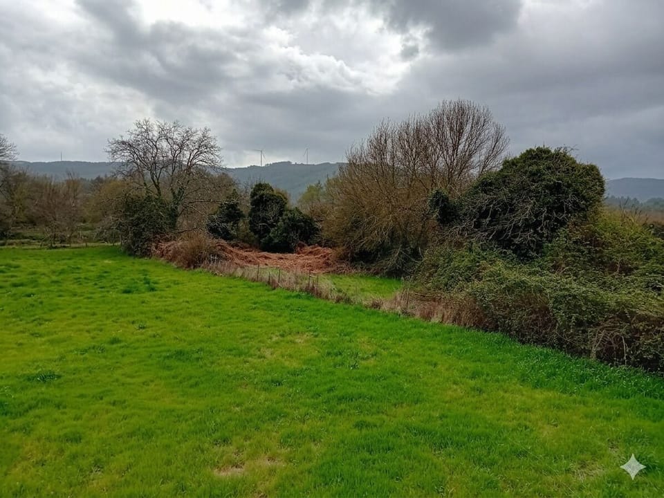 Land view from property