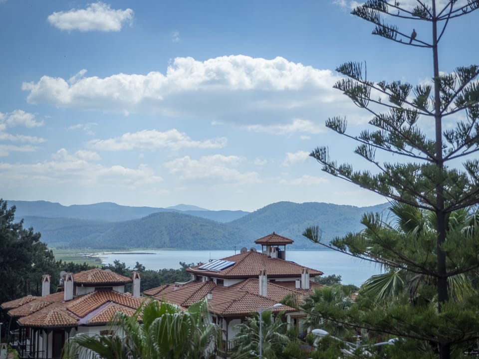 Beach/ocean view