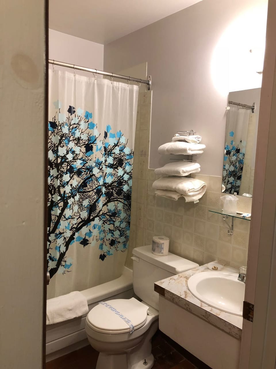 Combined shower/tub, deep soaking tub, towels, soap