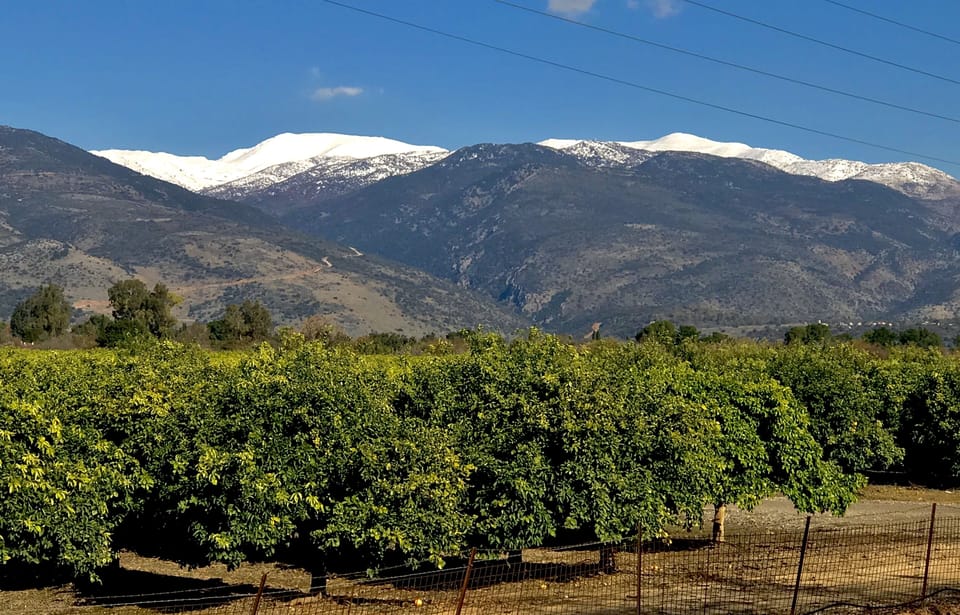 Mountain view