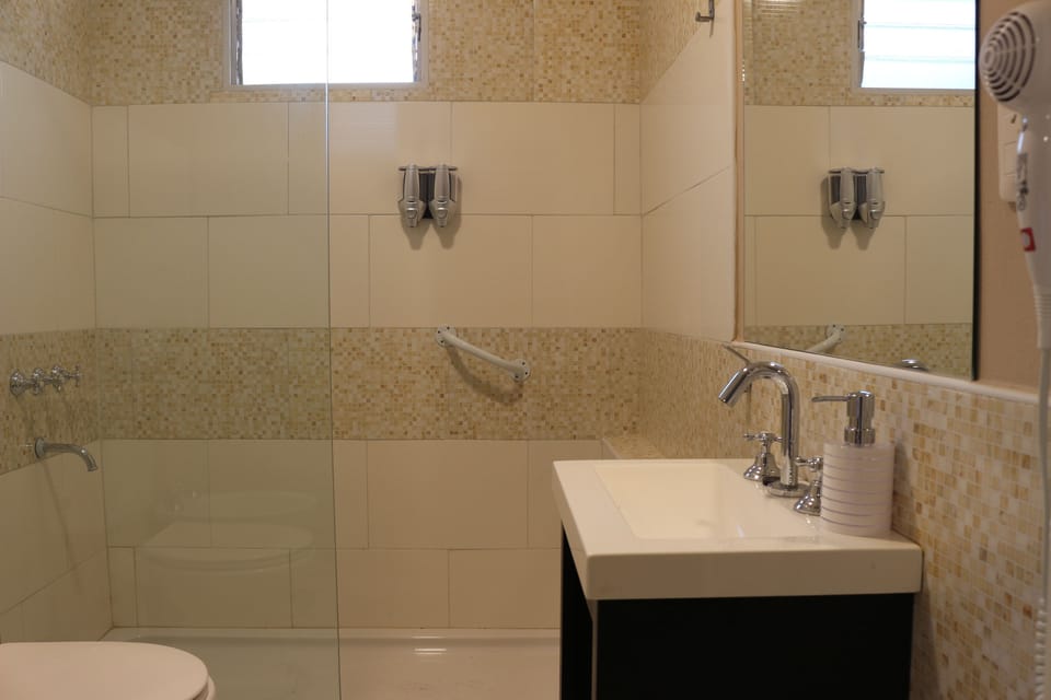 Shower, free toiletries, hair dryer, bidet