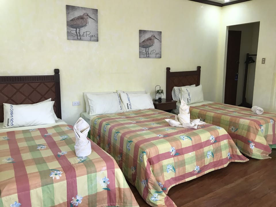 Executive Room 2 | WiFi (free), bed sheets