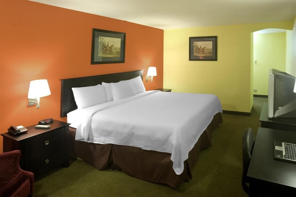 Room, 1 King Bed, Non Smoking | Desk, free WiFi, bed sheets