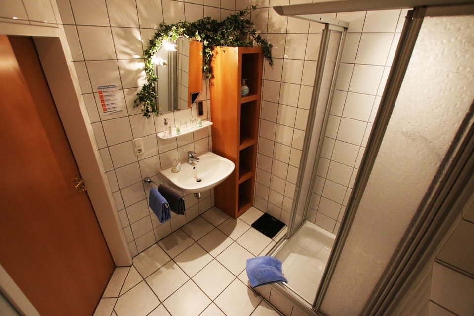 Shower, hair dryer (on request), towels