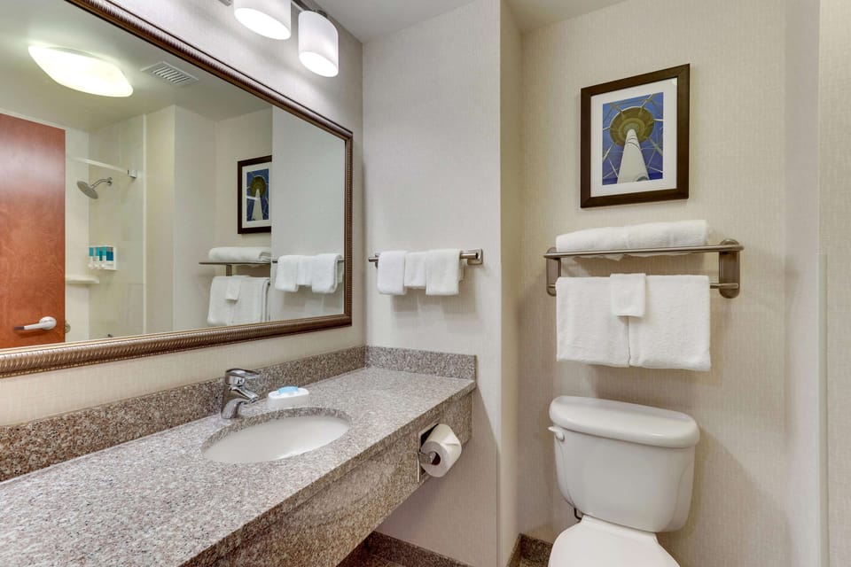 Combined shower/tub, free toiletries, hair dryer, towels