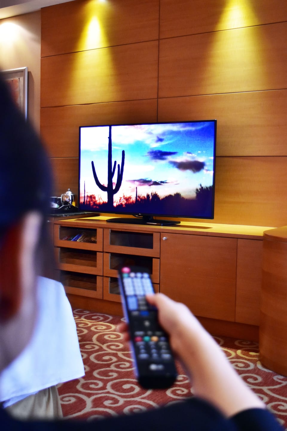 Television