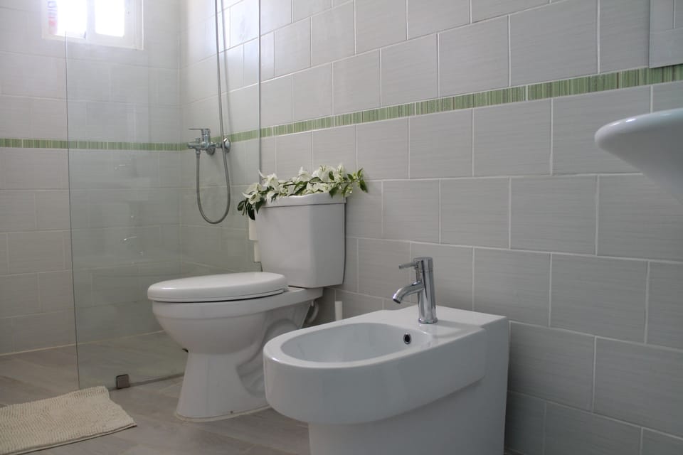 Royal Room, 1 Bedroom | Bathroom | Shower, free toiletries, hair dryer, bidet