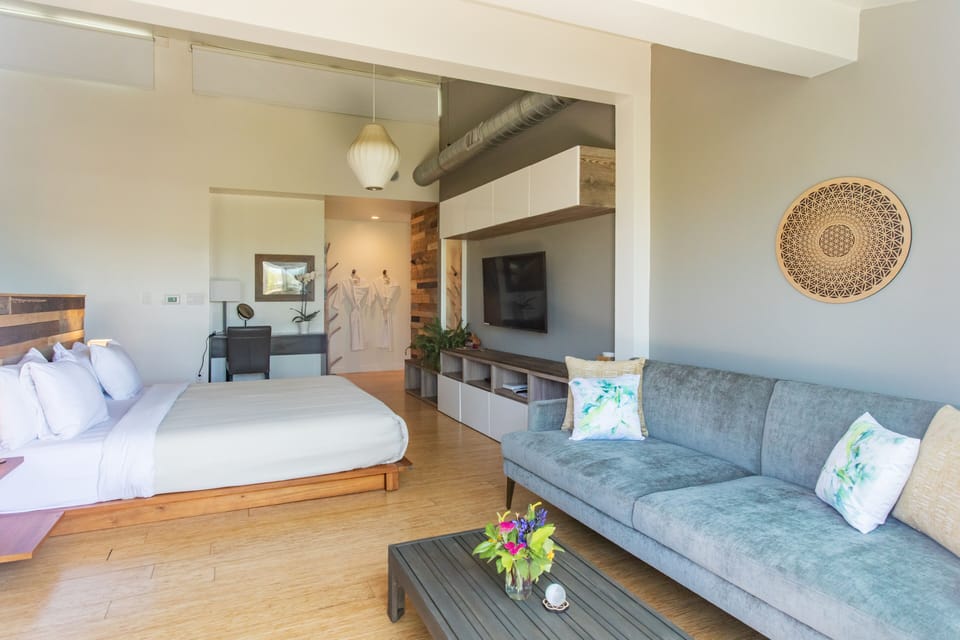 Deluxe Suite, Ocean View | Individually decorated, individually furnished, desk, laptop workspace