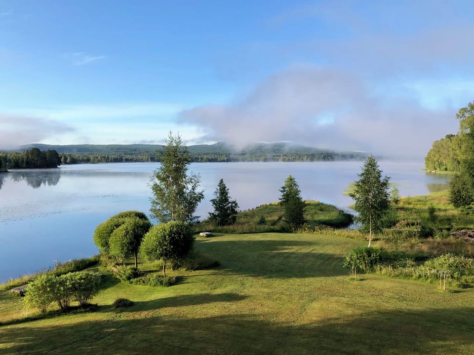 Lake view