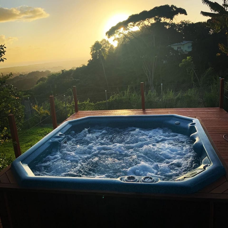 Private spa tub