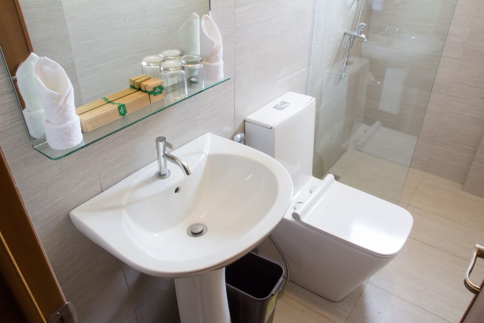 Shower, free toiletries, hair dryer (on request), bidet