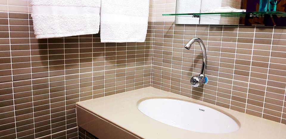 Standard Double Room, 1 Double Bed, Non Smoking, City View | Bathroom sink