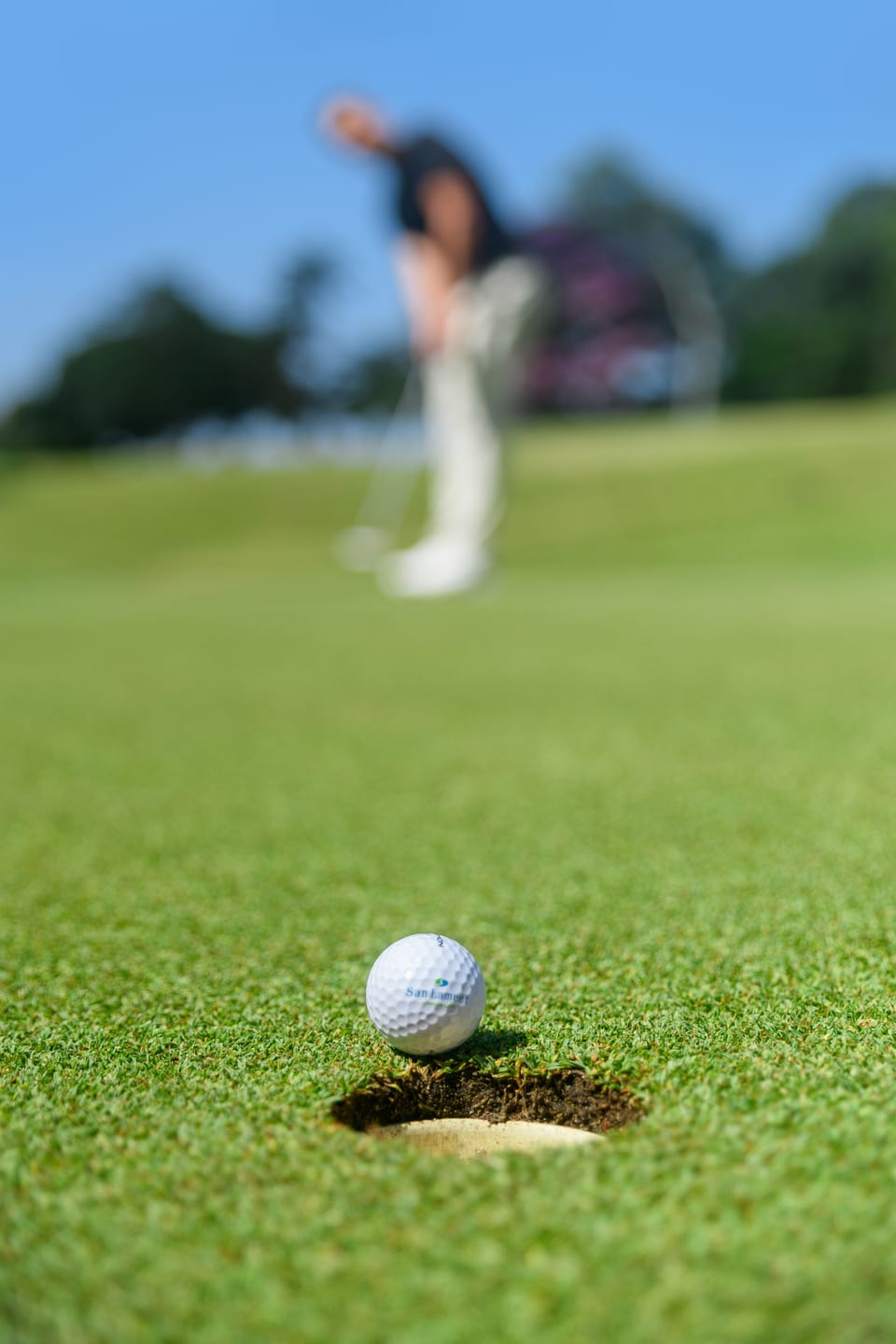 Mini-golf