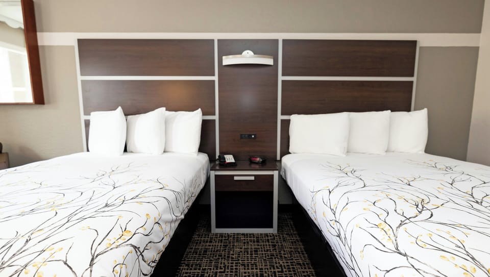 Executive Business Double Nonsmoking | Free minibar, desk, free WiFi, bed sheets