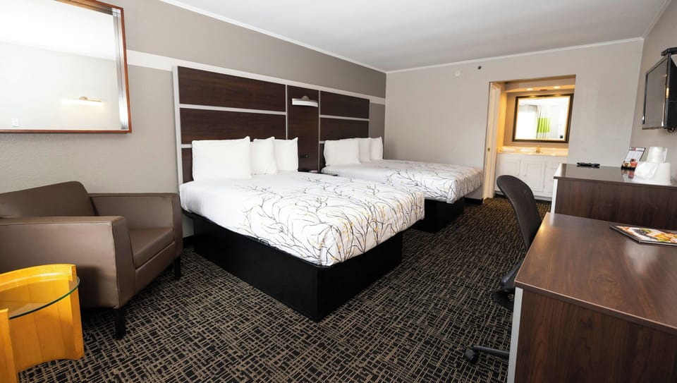 Executive Business Double Nonsmoking | Free minibar, desk, free WiFi, bed sheets