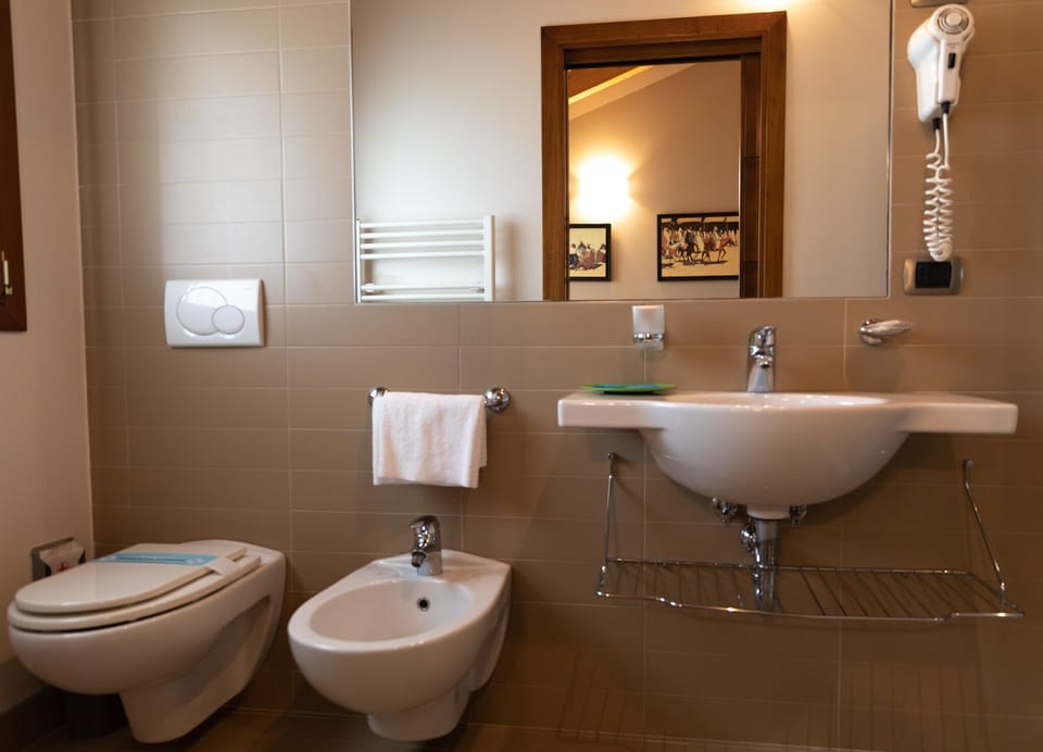 Shower, hair dryer, bidet, towels