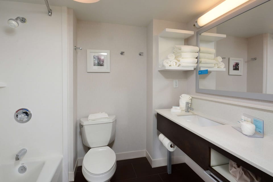 Combined shower/tub, free toiletries, hair dryer, towels