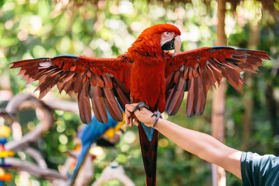 Children's activities