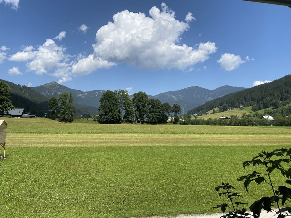 View from room