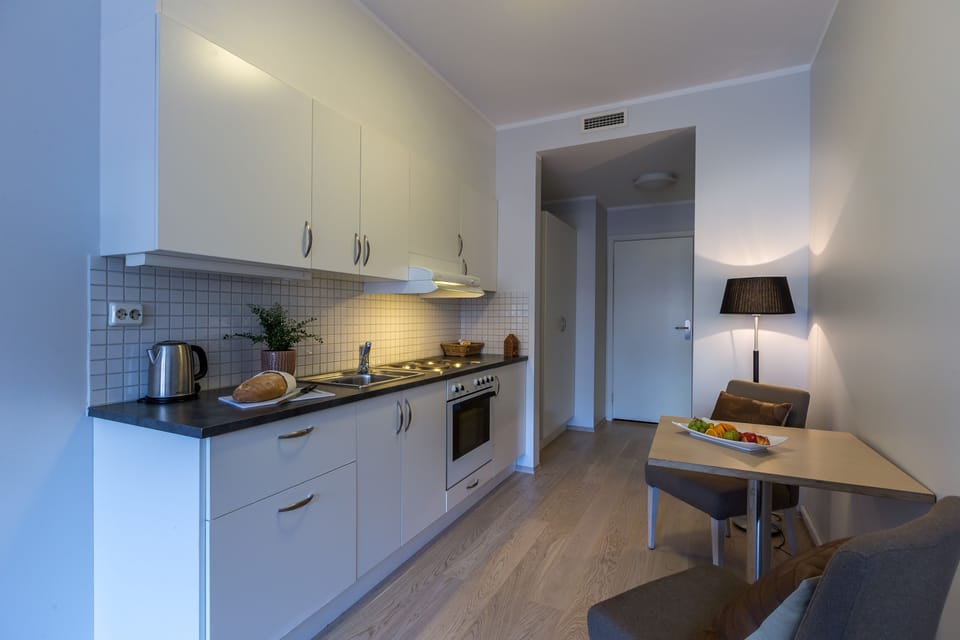 Superior Double Room, Kitchen | Private kitchen | Coffee/tea maker, fridge, microwave (on request), electric kettle